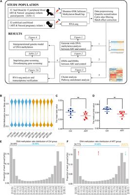 Whole-Genome Methylation Analysis Revealed ART-Specific DNA Methylation Pattern of Neuro- and Immune-System Pathways in Chinese Human Neonates